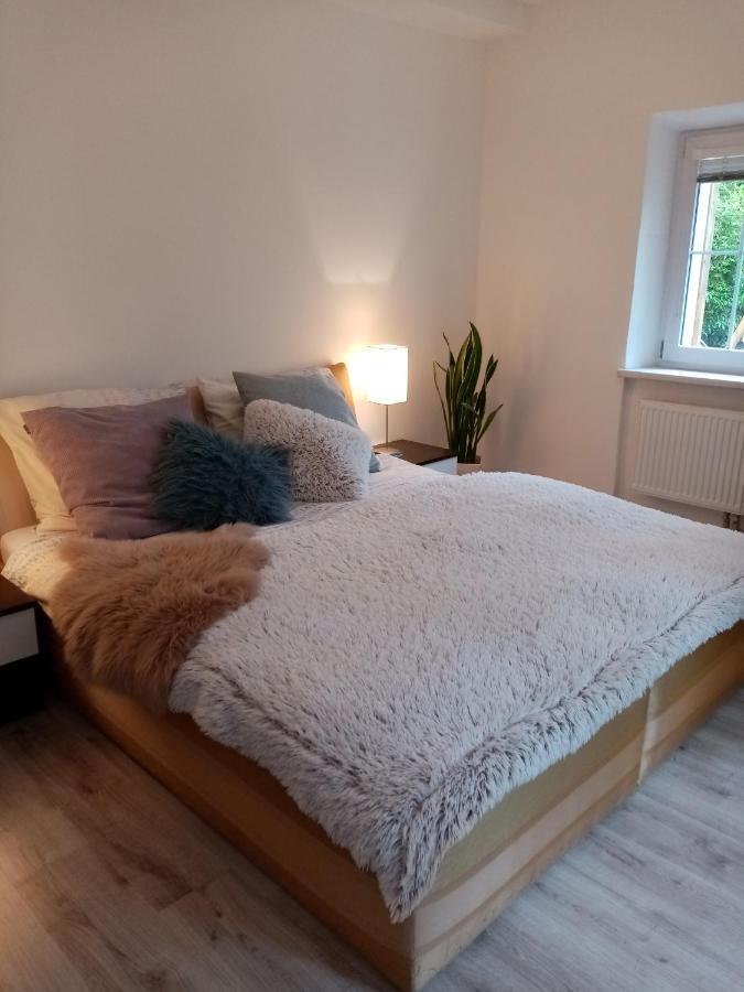 Vila Anton Karlsbad Buitenkant foto